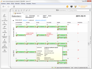 Kalendarz dzienny w Gestor GT