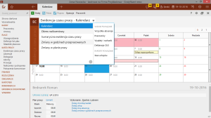 Ewidencja czasu pracy widoki