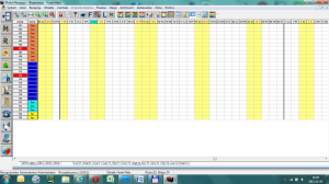 Chart Hotel - program hotelowy - grafik