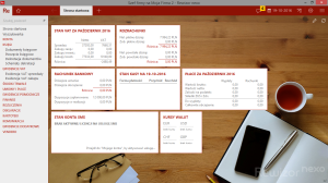 Rewizor NEXO - strona startowa