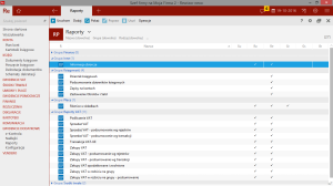 Raporty