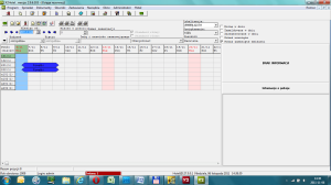 Program recepcji hotelowej - X2Hotel - grafik hotelu